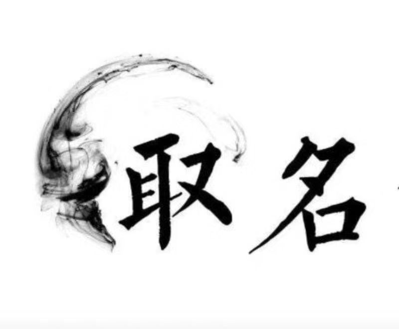  鲁甸宝宝取名 大师一对一人工起名