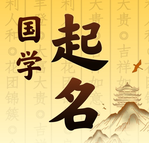 鲁甸国学起名 人工起名一对一